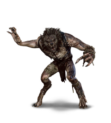 Image of a werewolf