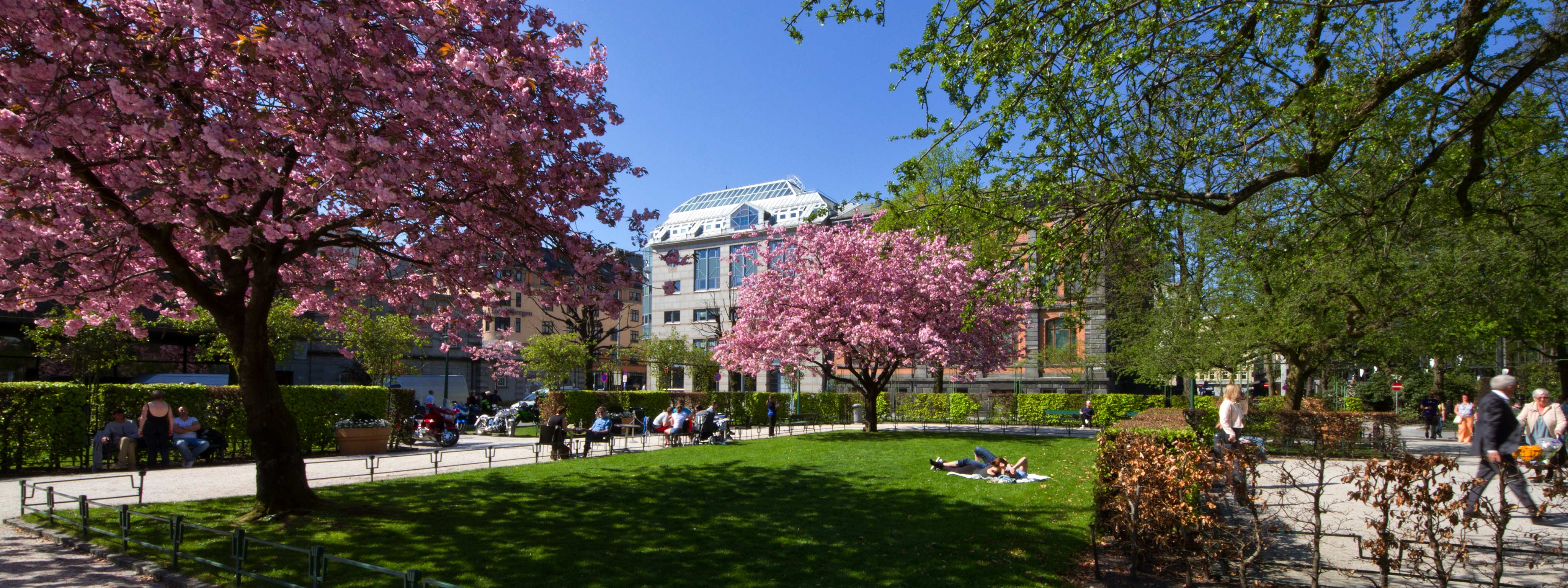 Picture of Bergen-park, about us banner.